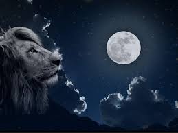 January 28 Full Moon in Leo Posted January 26, 2021 by laurabruno