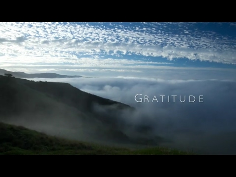 Gratitude: A Short Film
