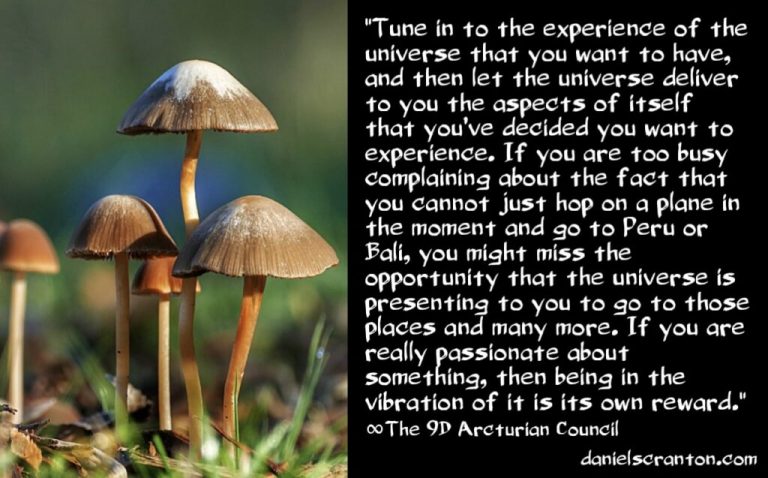 Receive This Transmission & Change Everything ∞The 9D Arcturian Council, Channeled by Daniel Scranton