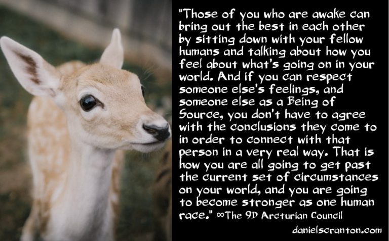 Secret Forces that Want Humanity Divided ∞The 9th Dimensional Arcturian Council