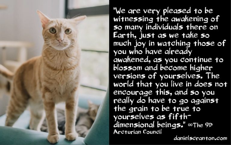 For the Awakened & Newly Awake ∞The 9D Arcturian Council
