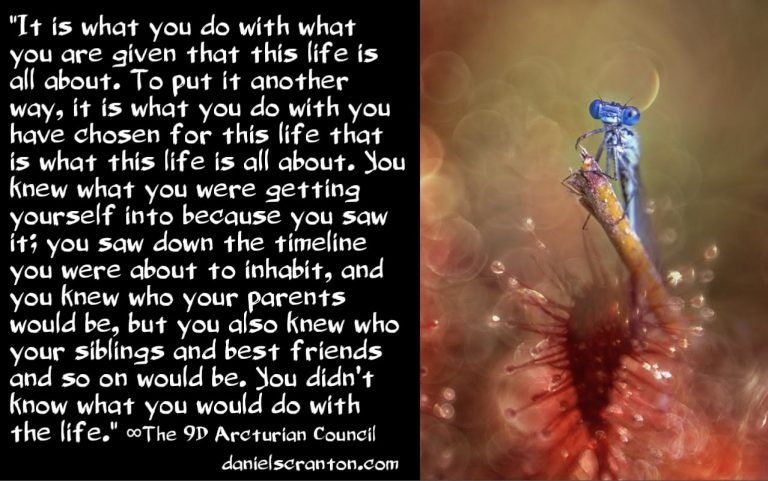 The Time Between Now & the End of 2022 ∞The 9D Arcturian Council
