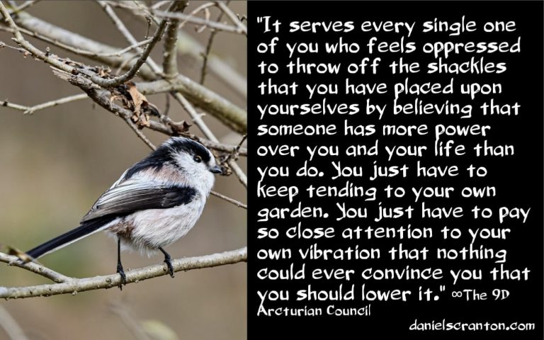 Dismantling Society’s Systems of Control ∞The 9th Dimensional Arcturian Council
