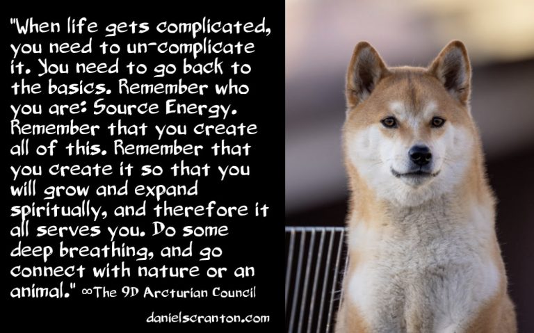 Un-Complicate Your Life with These Steps ∞The 9D Arcturian Council