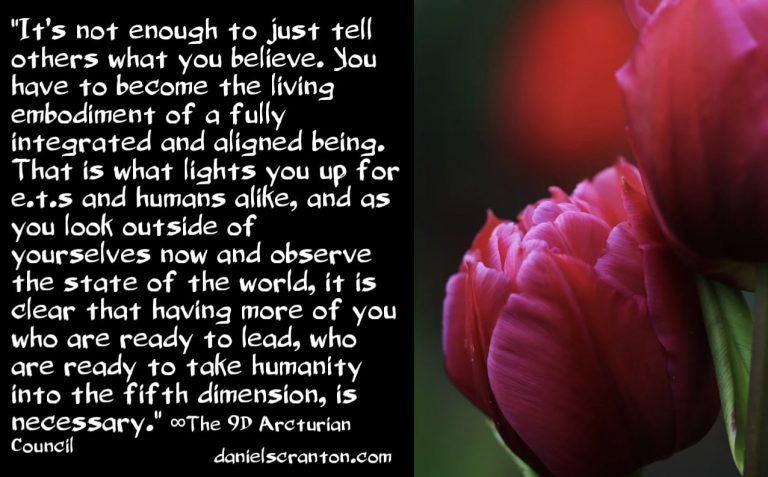 How to Become Ambassadors to the E.T. Realm ∞The 9th Dimensional Arcturian Council