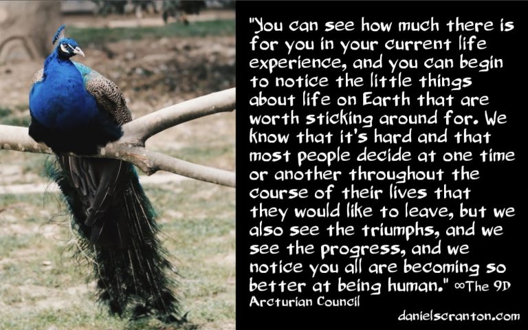 What You Will Say After You Ascend ∞The 9th Dimensional Arcturian Council