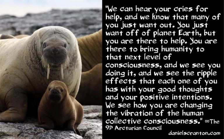 What All Lightworkers are Working Towards ∞The 9D Arcturian Council