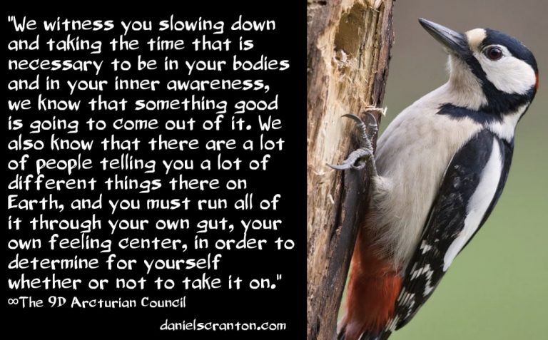 How to Get on Your Path & Complete Your Mission ∞The 9th Dimensional Arcturian Council