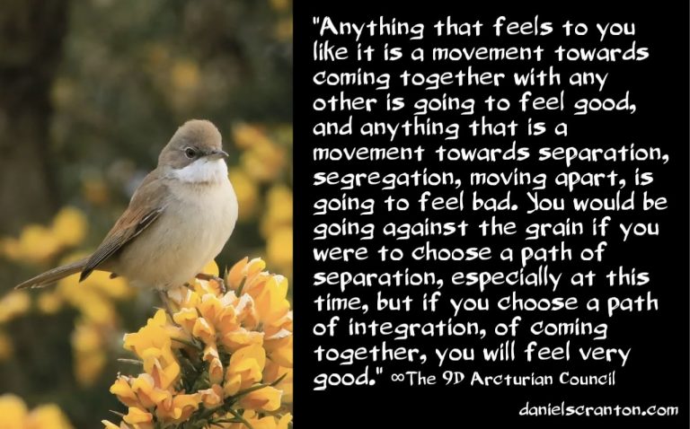 What We See Humans Doing on Many Timelines ∞The 9D Arcturian Council