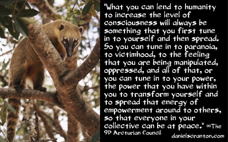 Your Assignment & Your Mission ∞The 9D Arcturian Council