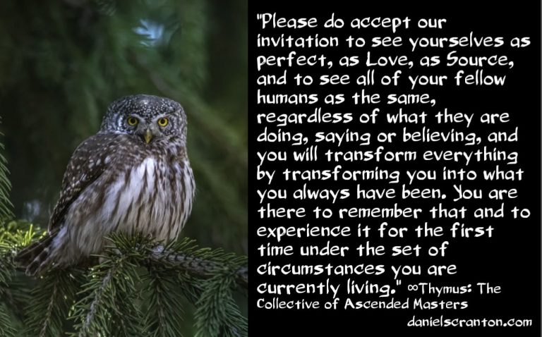 A First Time Experience for Humans ∞Thymus: The Collective of Ascended Masters