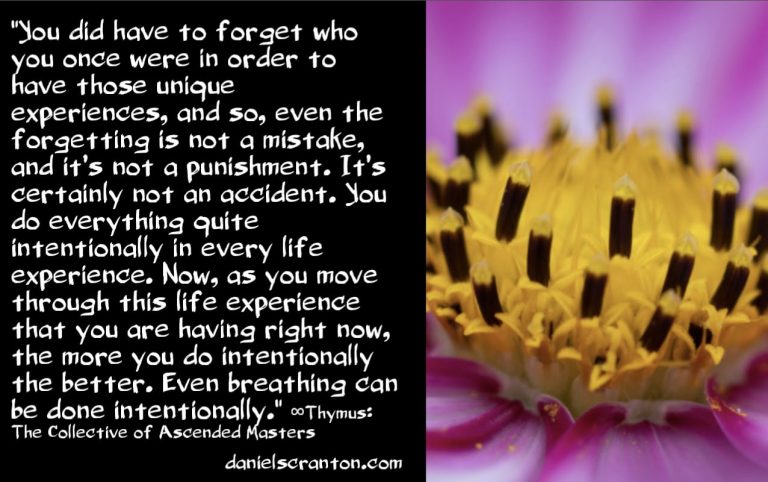 Use Your Power to Change Everything That Will Happen ∞Thymus: The Collective of Ascended Masters