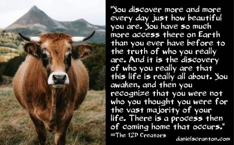 What is it Really Like to Be Awake? ∞The 12D Creators: A Nonphysical Collective Consciousness