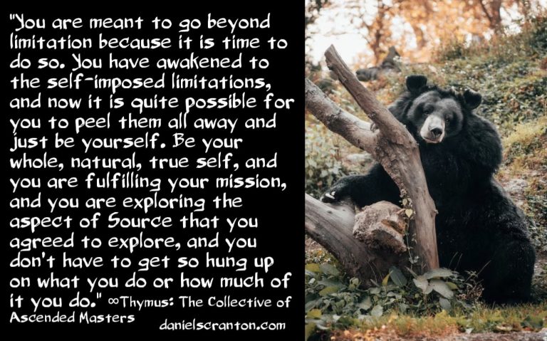 The 3 Questions to Start Your Day With ∞Thymus: The Collective of Ascended Masters