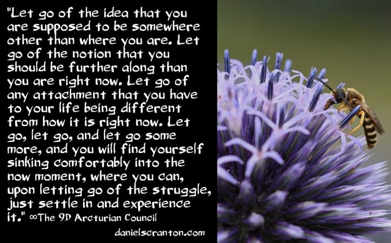 Living as a Hybrid Being on Earth ∞The 9D Arcturian Council