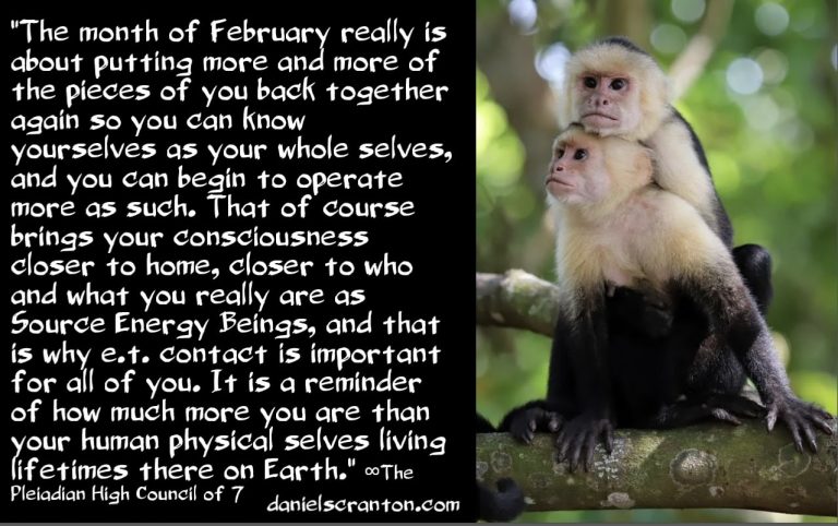 The February 2024 Energies ∞The Pleiadian High Council of 7