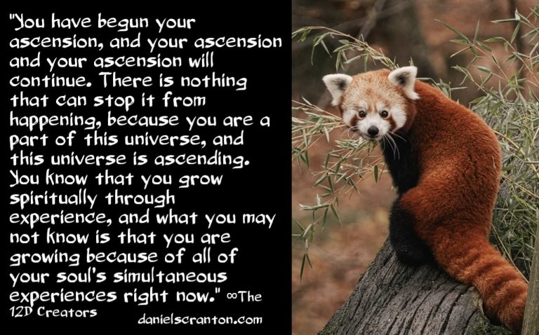 You Have Begun Your Ascension ∞The 12D Creators, a Nonphysical Collective Consciousness