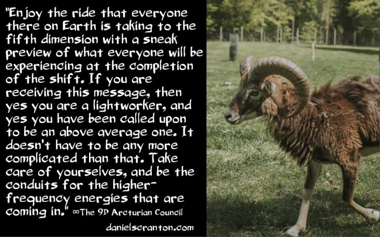 Are You an Above Average Lightworker? ∞The 9th Dimensional Arcturian Council