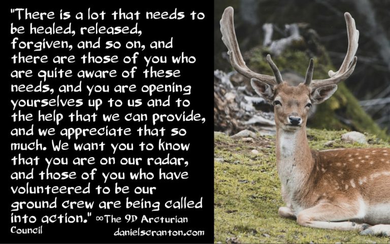 The Awakened Collective, Grid-Workers & Ground Crew ∞The 9th Dimensional Arcturian Council