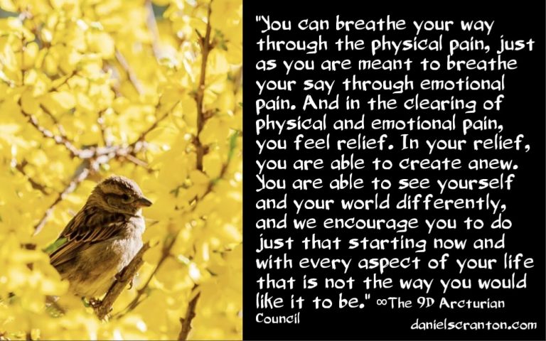 Are Physical & Emotional Pain Needed to Grow? ∞The 9D Arcturian Council