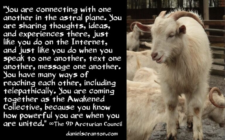 Awakened Collective: Unite & Fulfill Your Destiny ∞The 9th Dimensional Arcturian Council