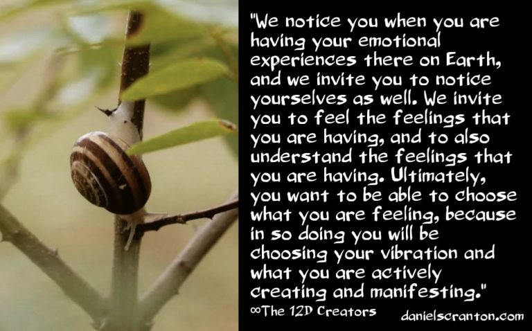 Your Relationship with Your Emotions ∞The Creators