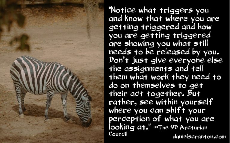 Ensure Your Physical ET Contact ∞The 9D Arcturian Council