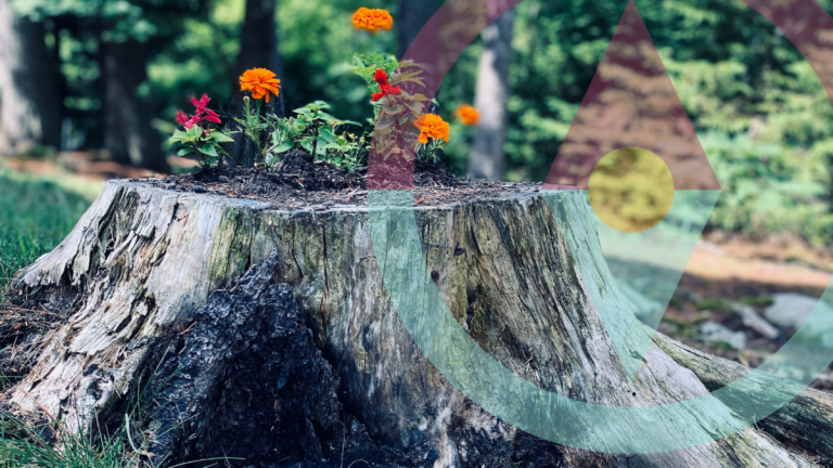 5 Ways To Cultivate A More Open Mindset