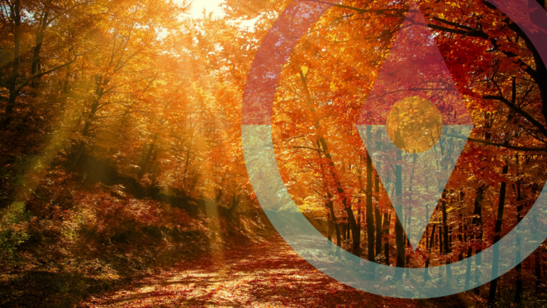 Maintaining Your Vitality